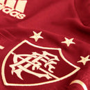 Fluminense Terceiro 12/13