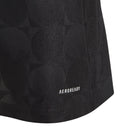 Real Madrid Treino 24/25