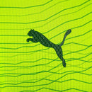 Palmeiras Terceiro 23/24