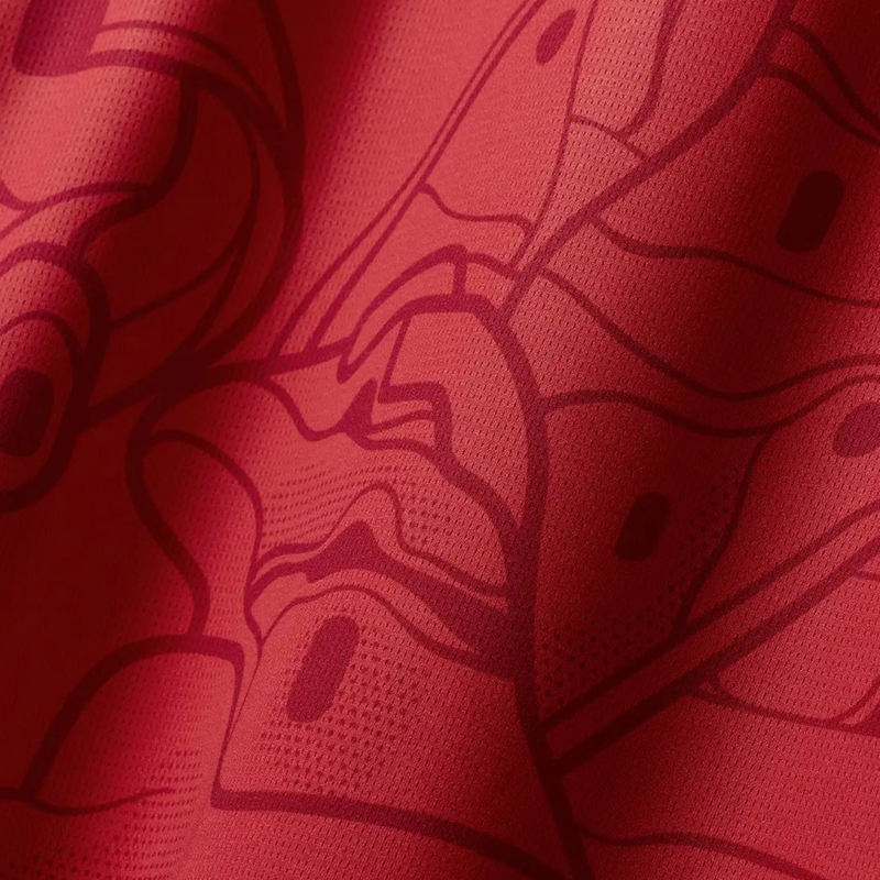 Áustria Principal 24/25 - Euro 2024