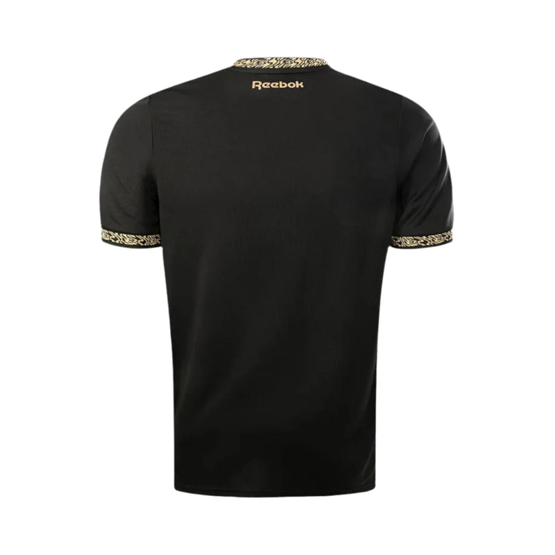 Botafogo Alternativa 24/25