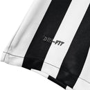 Santos Alternativa 12/13