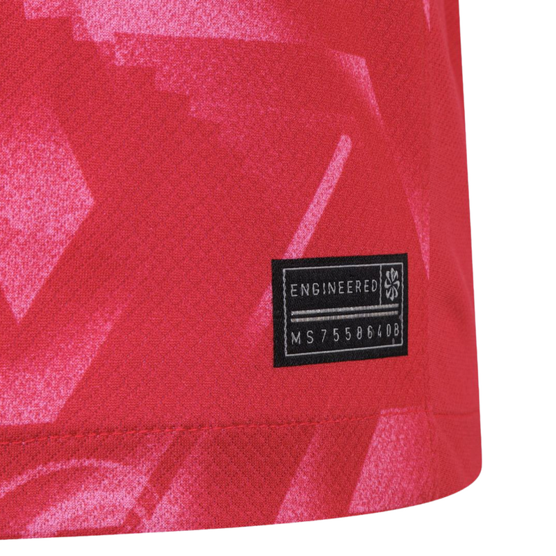 Coreia do Sul Principal 24/25