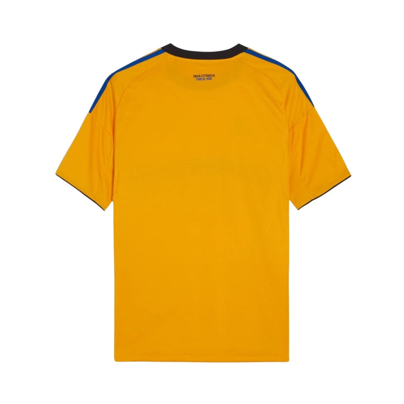 Pisa Alternativa 25/26