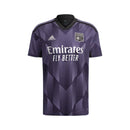 Olympique Lyonnais Treino 23/24