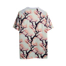 Japão Edição Especial 24/25