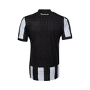 Botafogo Principal 23/24