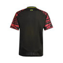 Peru Alternativa 24/25 - Copa América 2024