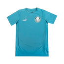 Palmeiras Treino 23/24