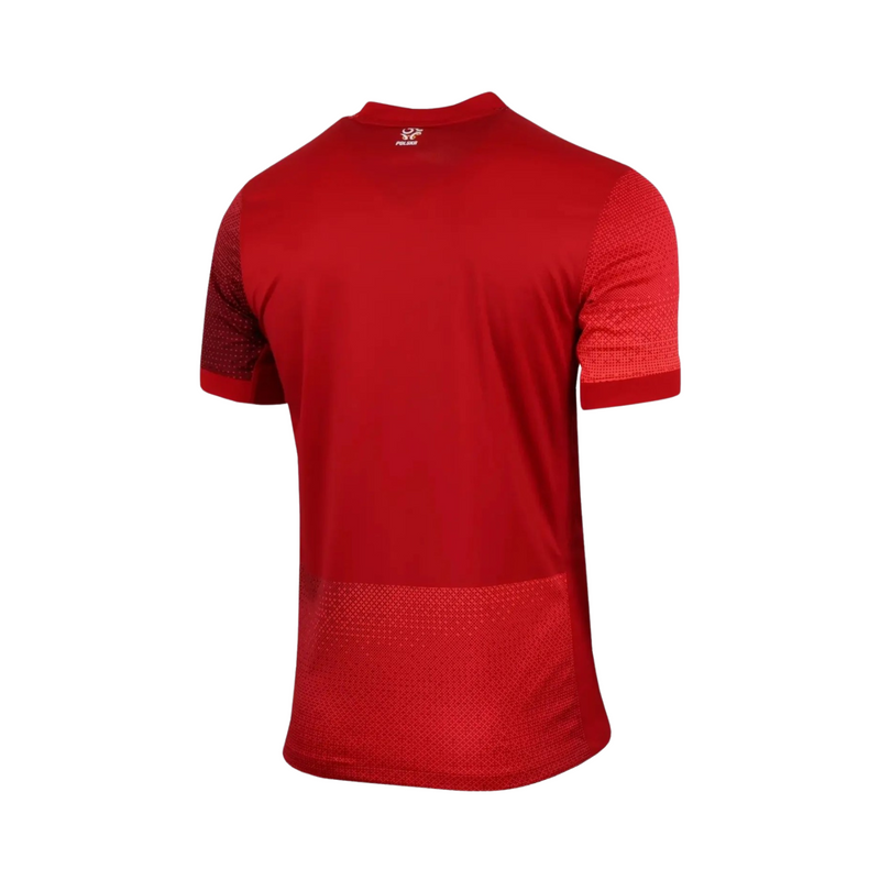 Polónia Alternativa 24/25 - Euro 2024