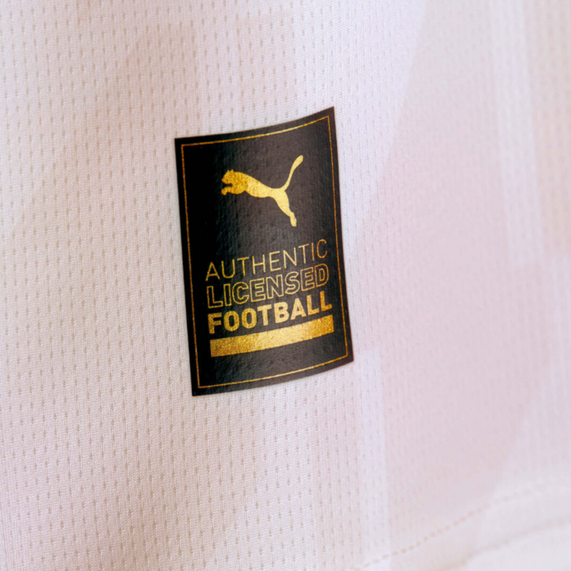 Manchester City Alternativa 23/24