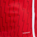 Arsenal Principal 23/24