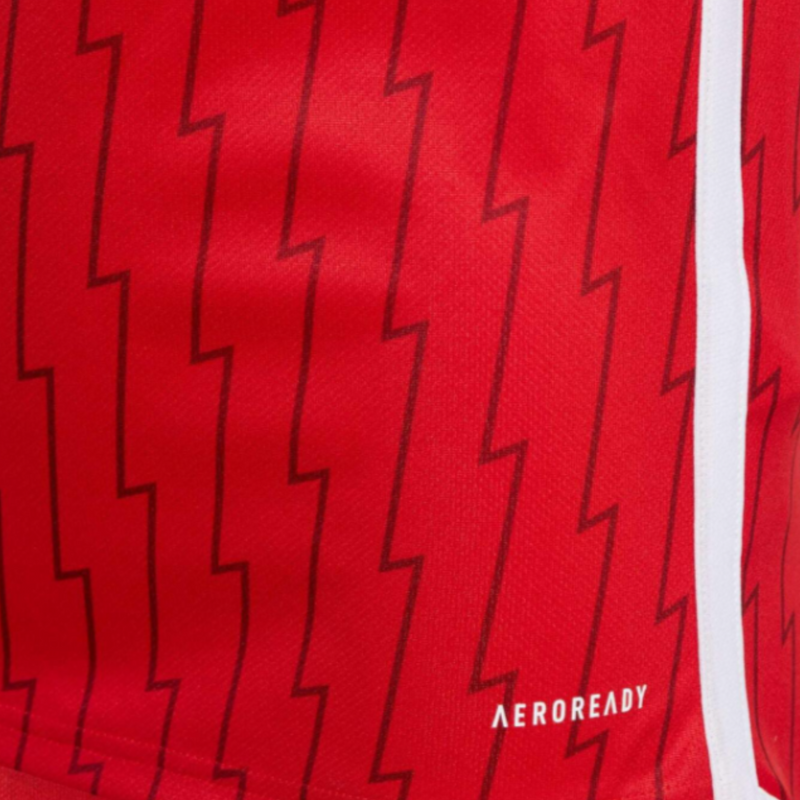 Arsenal Principal 23/24