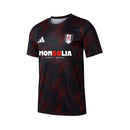 Fulham Pré-Jogo 25/26