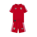 Benfica Edição Especial 25/26