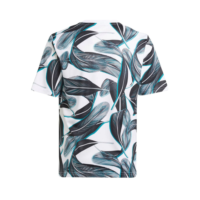 Newcastle United Pré-Jogo 24/25