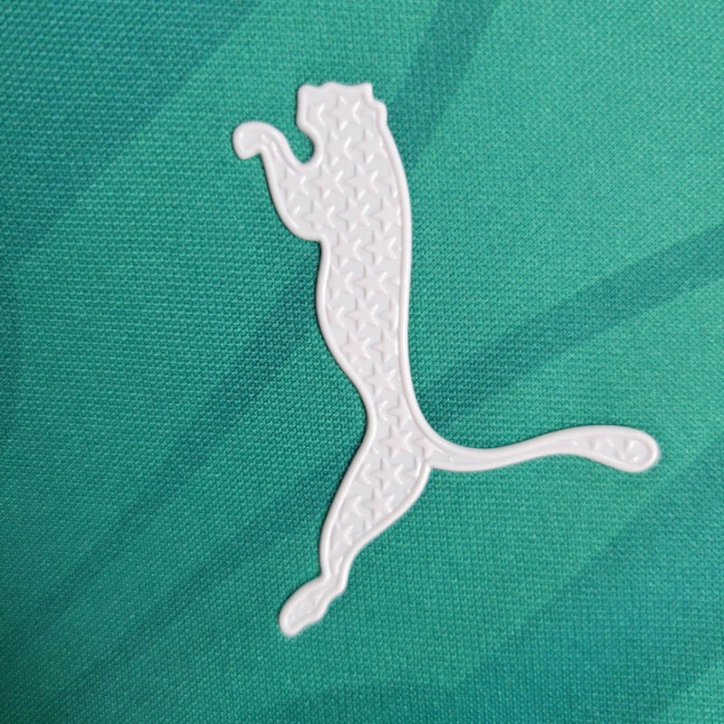 Palmeiras Treino 24/25