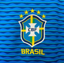 Brasil Alternativa 24/25 - Copa América 2024