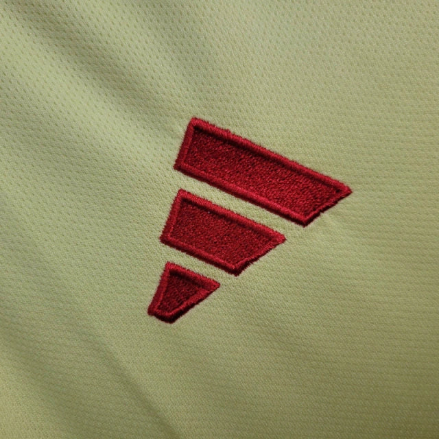 País de Gales Alternativa 24/25 - Euro 2024