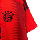 Bayern Munique Principal 24/25