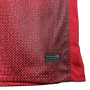 Polónia Alternativa 24/25 - Euro 2024