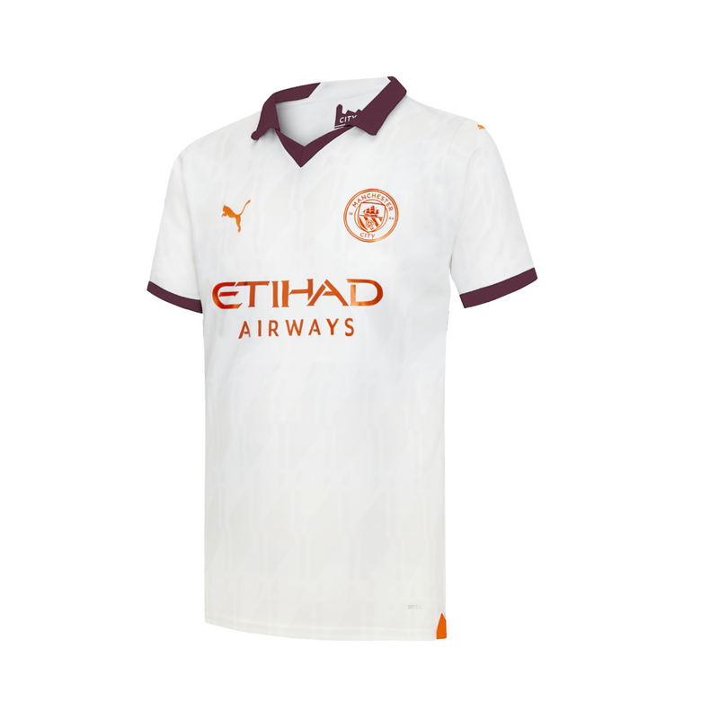 Manchester City Alternativa 23/24